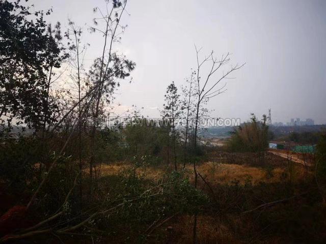 赣州蓉江新区5宗土地挂牌出让，总价近9亿元