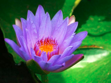 生肖|天生爱打扮的四生肖女，颜值高身材好，不缺追求者