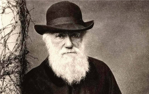 基因|人类虽进化出了语言，却付出了“惨痛代价”，只有黑猩猩得以幸免