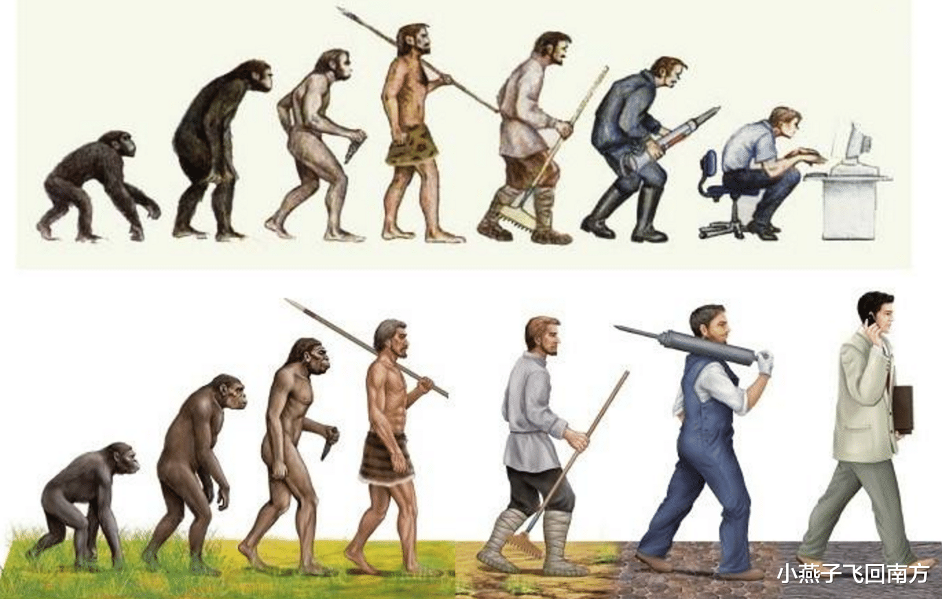 机器|上世纪农民可肩扛数百斤，为何如今不行，人类是否已经开始退化？