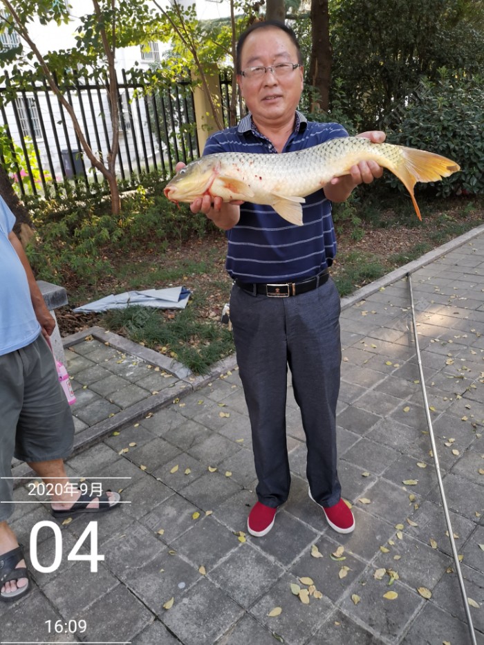 鲫鱼|「乡渔汇文」我儿时死里逃生的经历及钓鱼剪影