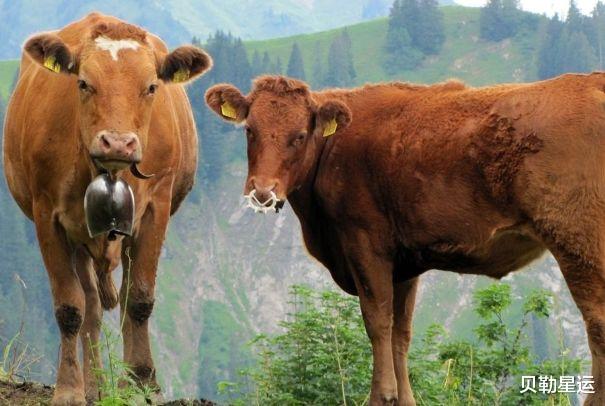 牛人|丑牛人：明后2天会有“痛哭流涕”的大事降临，佛说一切都是天意