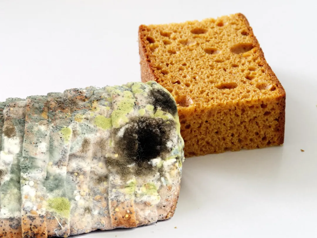 致癌物|比砒霜还毒！公认的1级致癌物，就藏在你家的这些地方！