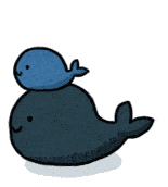 鲸鱼@鲸鱼头顶喷的居然不是海水，而是“毒气”！