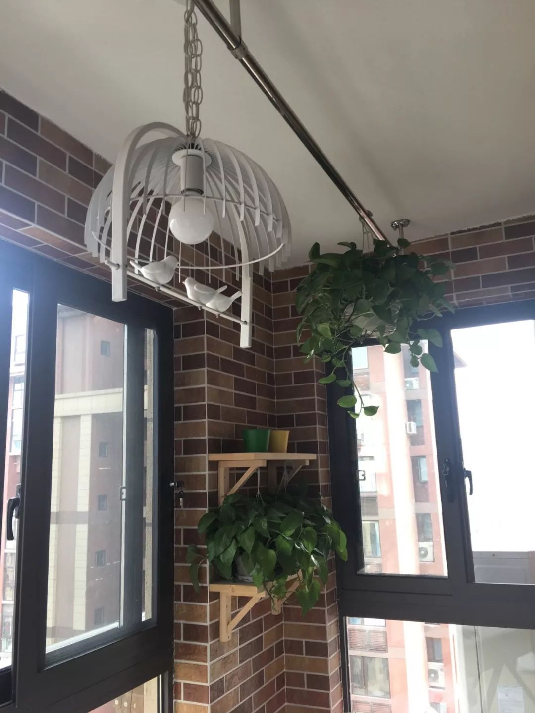 绿植怎么种更美？多种几盆，摆上架子，美出天际！