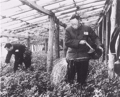 溥仪|溥仪晚年去理发，看到吹风机后问了理发师一个问题，让人笑出了声