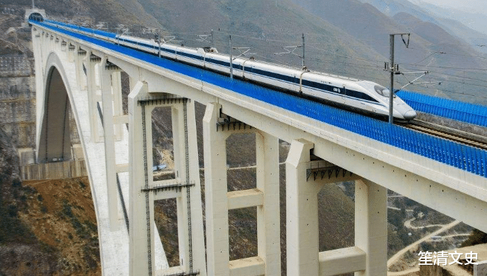 「生猪价格」痛失2800亿大单，中国高铁遭遇“滑铁卢”，给中国企业敲响警钟？