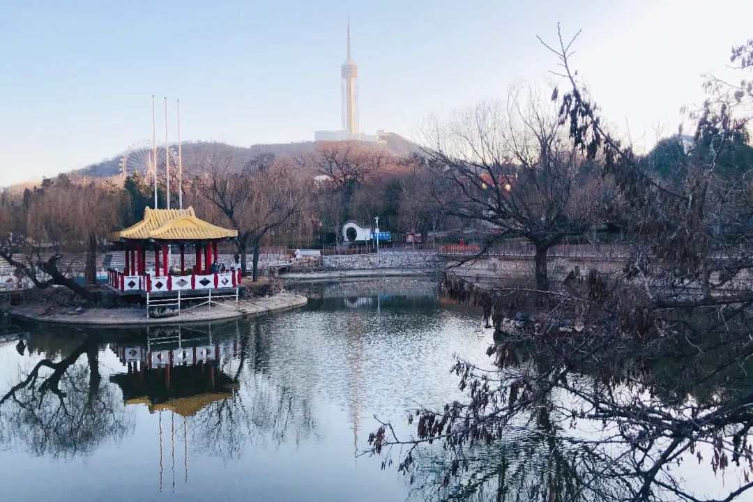 过敏性疾病：大连市儿童医院最新提醒