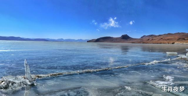 绝情|7月底,你无情,我绝情,3生肖斩断情缘,余生不再为情所困