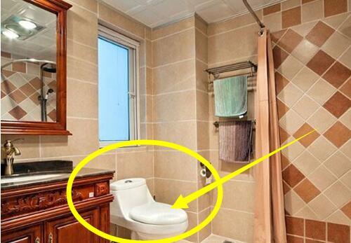 ：家里卫生间是装马桶还是装蹲便器好？听内行人一说，好多人装错了