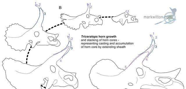 【三角龙】霸王龙和三角龙谁更厉害？