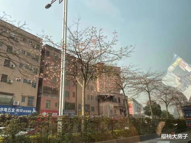 佛山放松调控后，结果让我很意外！丨二线城市调研