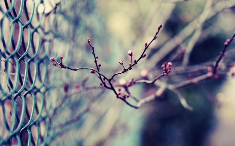 运势|下半年能够绝境逢生、扭转运势的三个星座，终于否极泰来了！