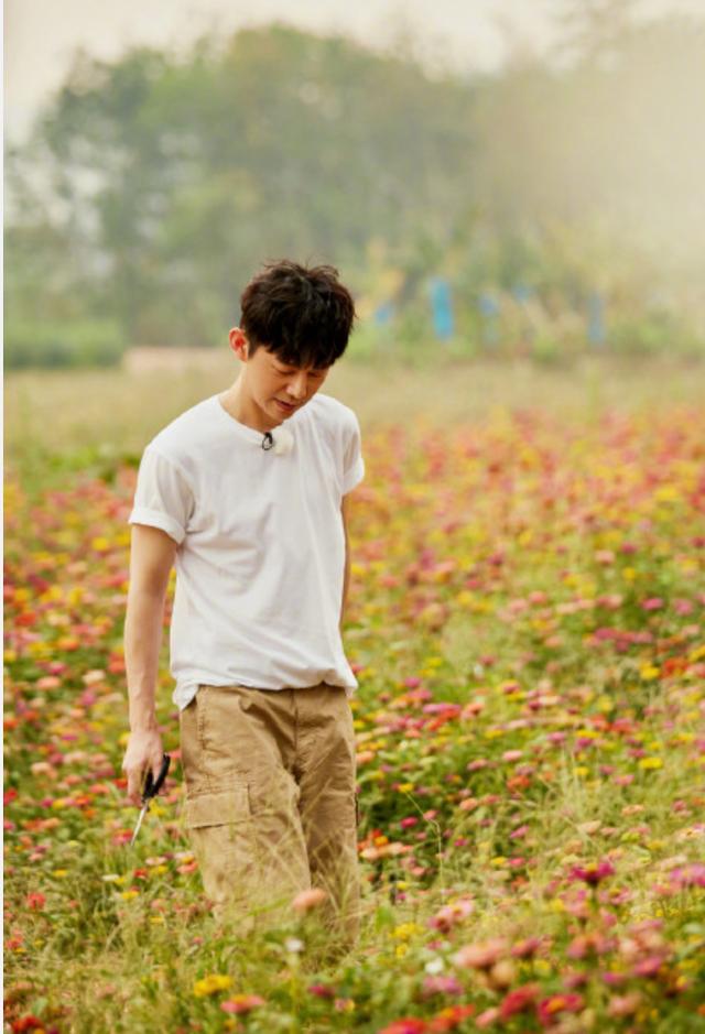 周迅@《向往的生活》首播反响不大,网友表示看点不足,都请了些谁?