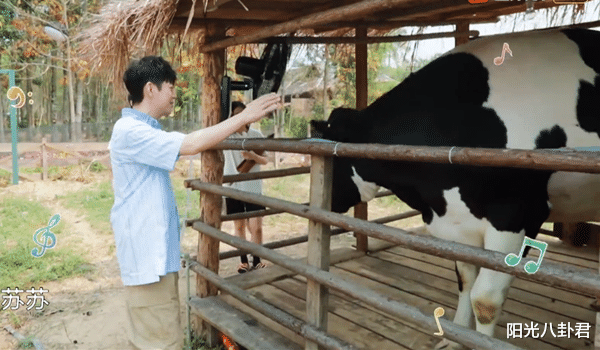 「薇娅」《向往的生活》口碑又翻车？专程请薇娅直播卖货，产品质量却差评不断