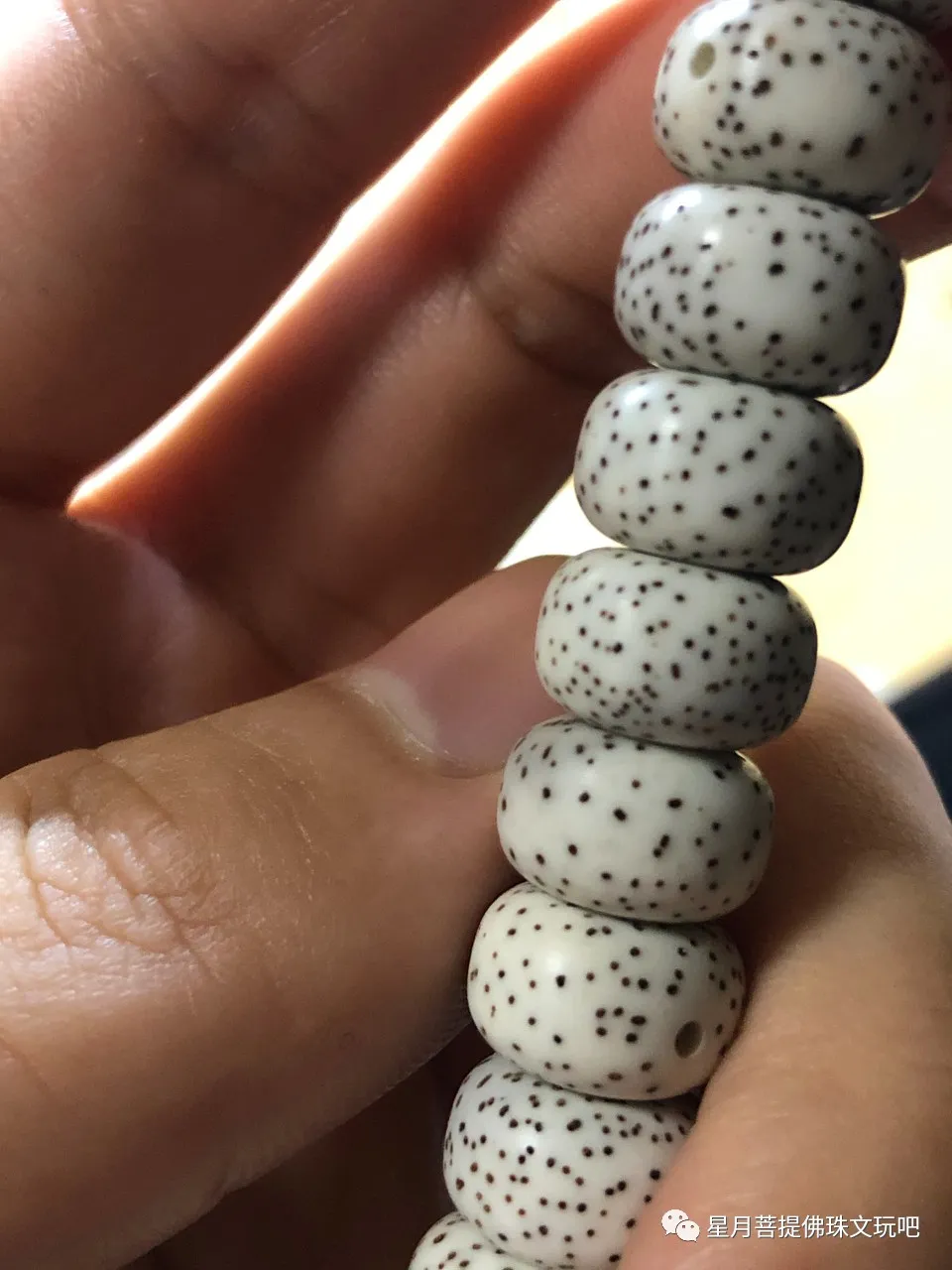 星月菩提|星月菩提顺白开始没有意义了吗？