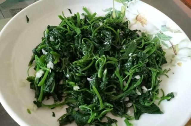 食材|它不吃就成“杂草”，正当季，是菜又是药，鲜嫩可口，体重嗖嗖降