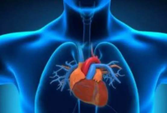 [卫星]地球是一个巨大的“生命体”？美卫星疑拍到地球心脏