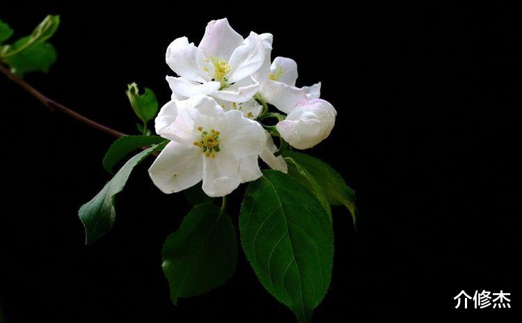 生肖|下半年期间，好运缠身，财神青睐，贵人撑腰，喜上加喜的4大生肖