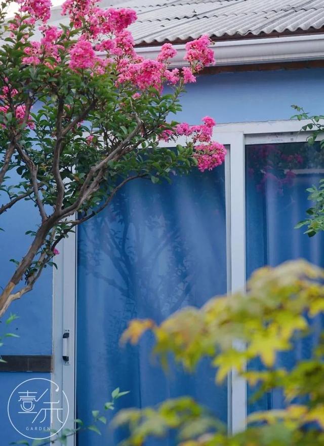 子木|沙地花园，低维护成本的花园设计