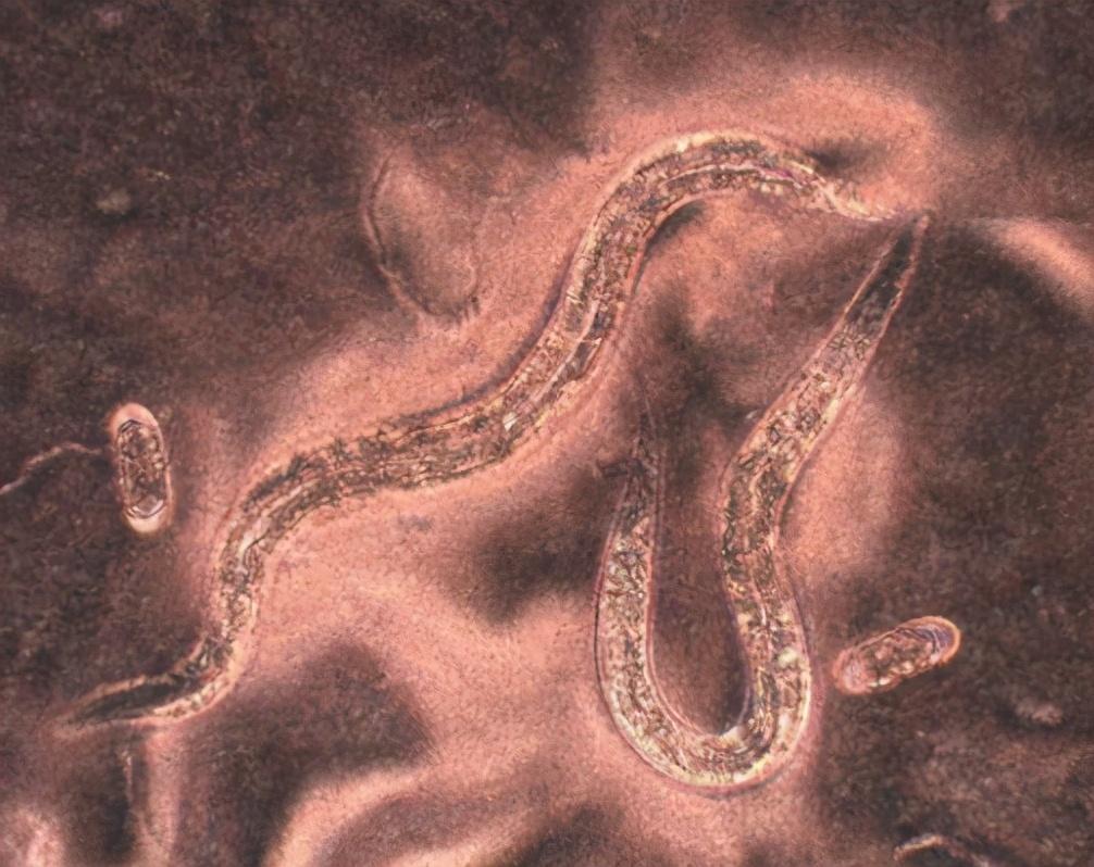 秦始皇帝陵|人类真的了解地球吗？地球到底有多厚？跟我去地核“旅行”你就知道了