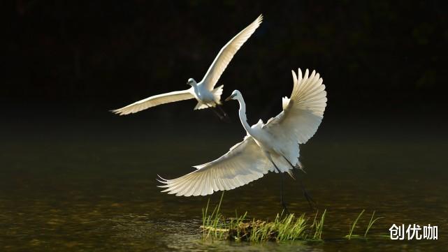 运势|2020下半年，运势上涨，牛气冲天，贵人云集，财势大好的星座