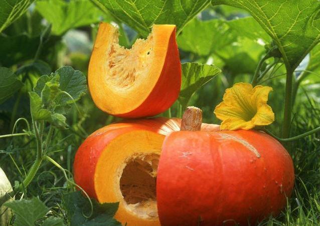 「胃癌」身体频繁出现4个表现,可能是胃癌“盯上”你了,尽早检查!