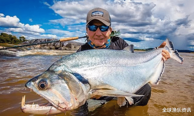 【】为什么外国人钓鱼喜欢站在水里，其实原因在于鱼，别傻傻不知道