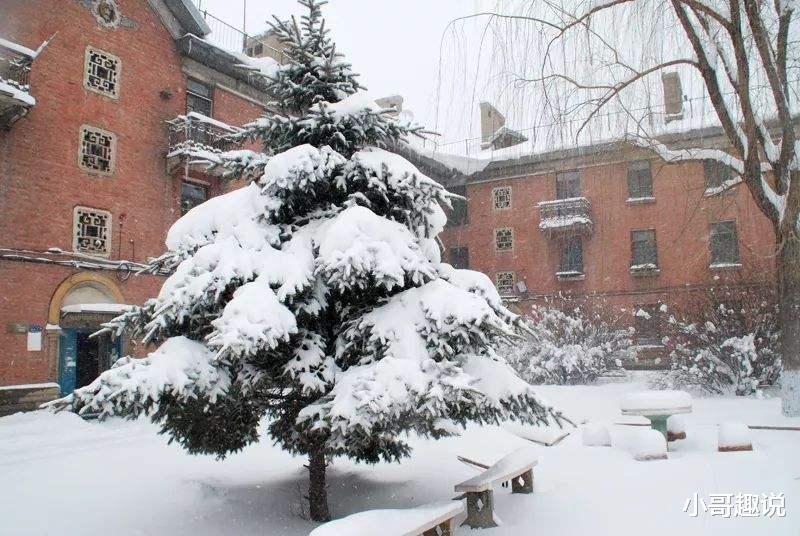 高校|我国上学最“寒冷”的985，冬天室外零下30度，报考仍然挤破头？