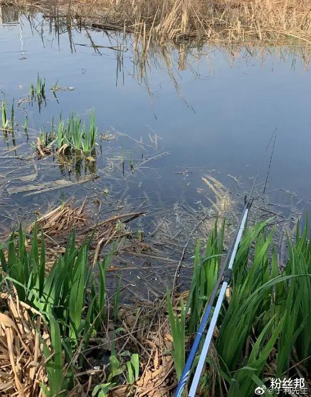 []热爱钓鱼“魔怔”的YY主播，于利再次破自己记录，7小时钓鱼231条