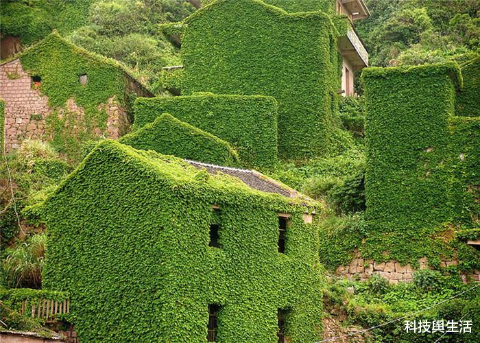 「」浙江的这一“无人村”，完美演绎人类消失后的地球，是这副模样！