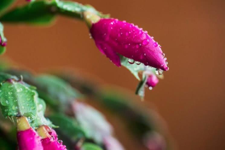 金牛座|10月开始，好运来临，贵人上门，工作得心应手的4大生肖