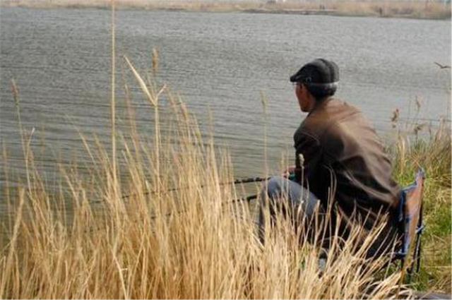 河南|河南老汉钓鱼钓到“乌龟”,颈侧及盖插有4箭,专家鉴定:值18亿!