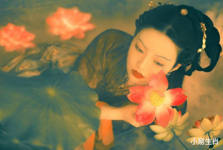 运势|2020下半年，财星降临，霉运散去，必将财源滚滚，收获喜人的属相