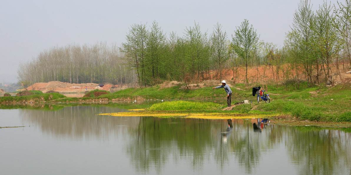 ##蚂蟥的命到底有多硬？不仅雌雄同体，还晒不死？