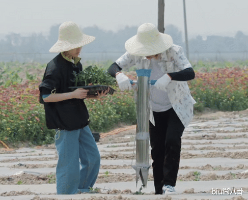 郭麒麟|郭麒麟带火一款“阿迪鞋”,价格不到300块,男人夏季必备!