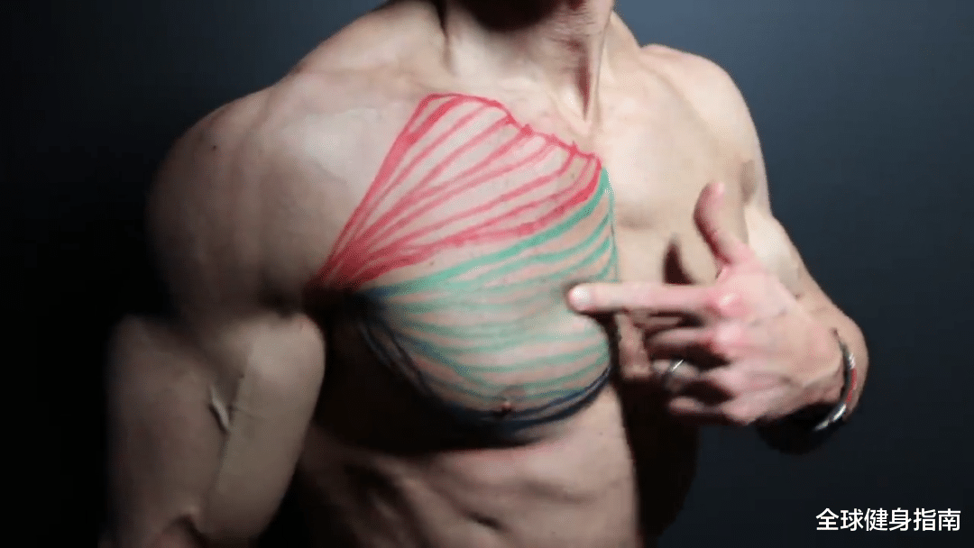 俯卧撑|每天100个俯卧撑,我的胸竟然发生了这样的变化......