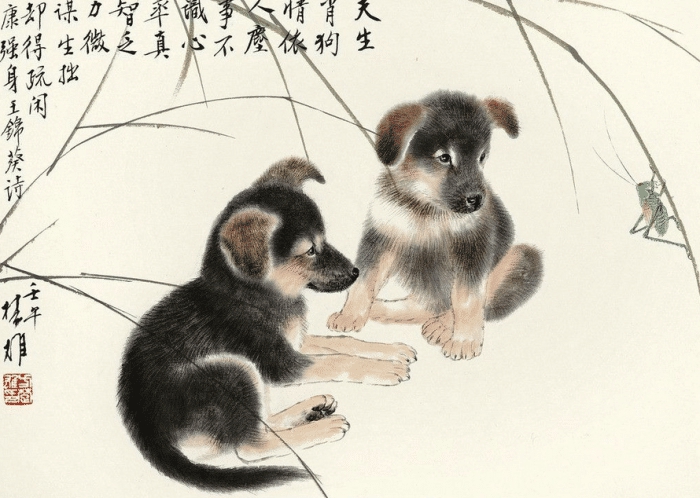 【】兔子不吃窝边草，狗人摇身大变啦，早明了早预防