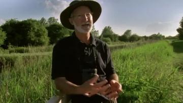 @布谷鸟,你可能常见,但它们的“卑劣”真面目,你未必了解