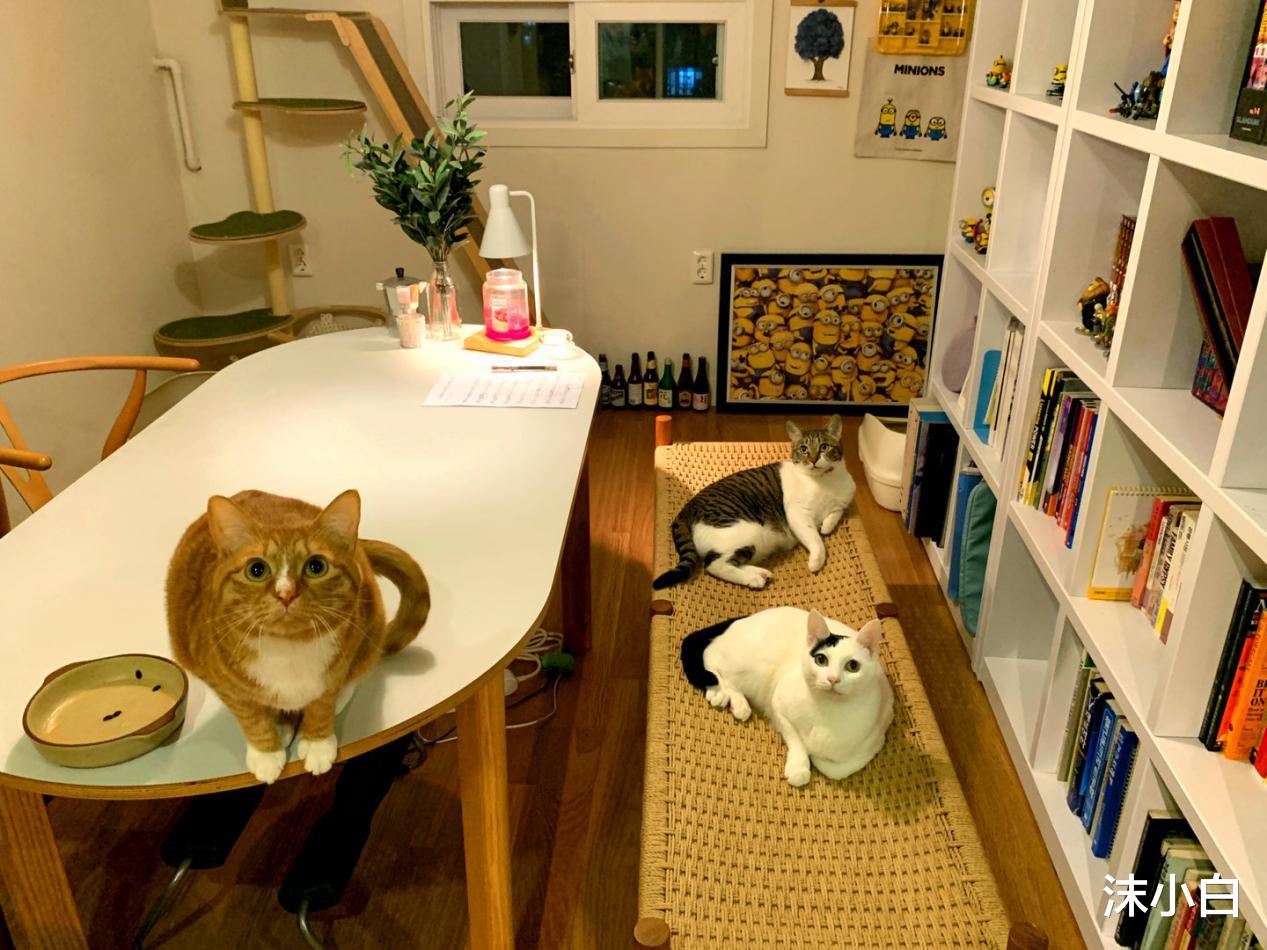 |晒出90后的6平小房，一开门都是鞋，卫生间颠倒常规！值得偷学