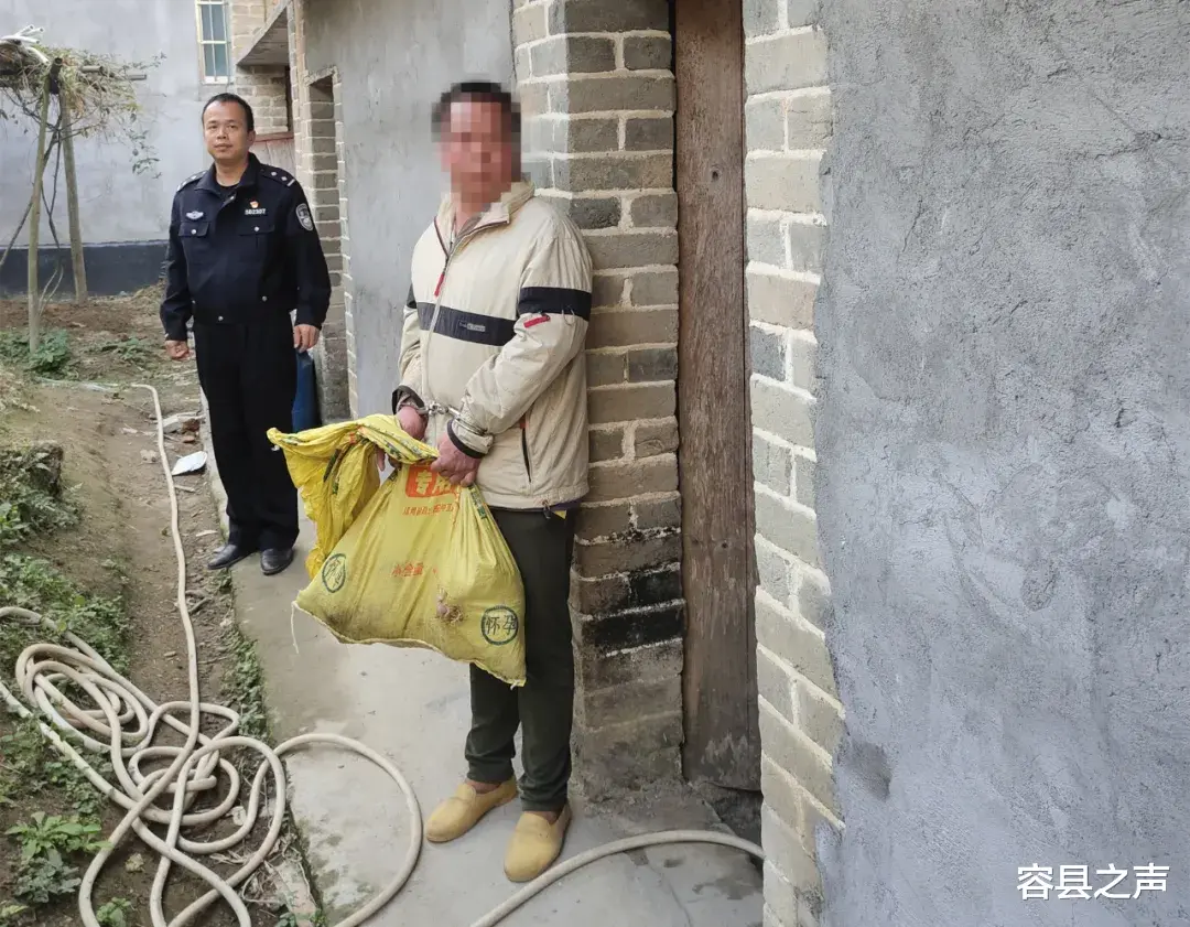 容县之声 广西容县杨村派出所两天破获2起盗窃案查处1起赌博案