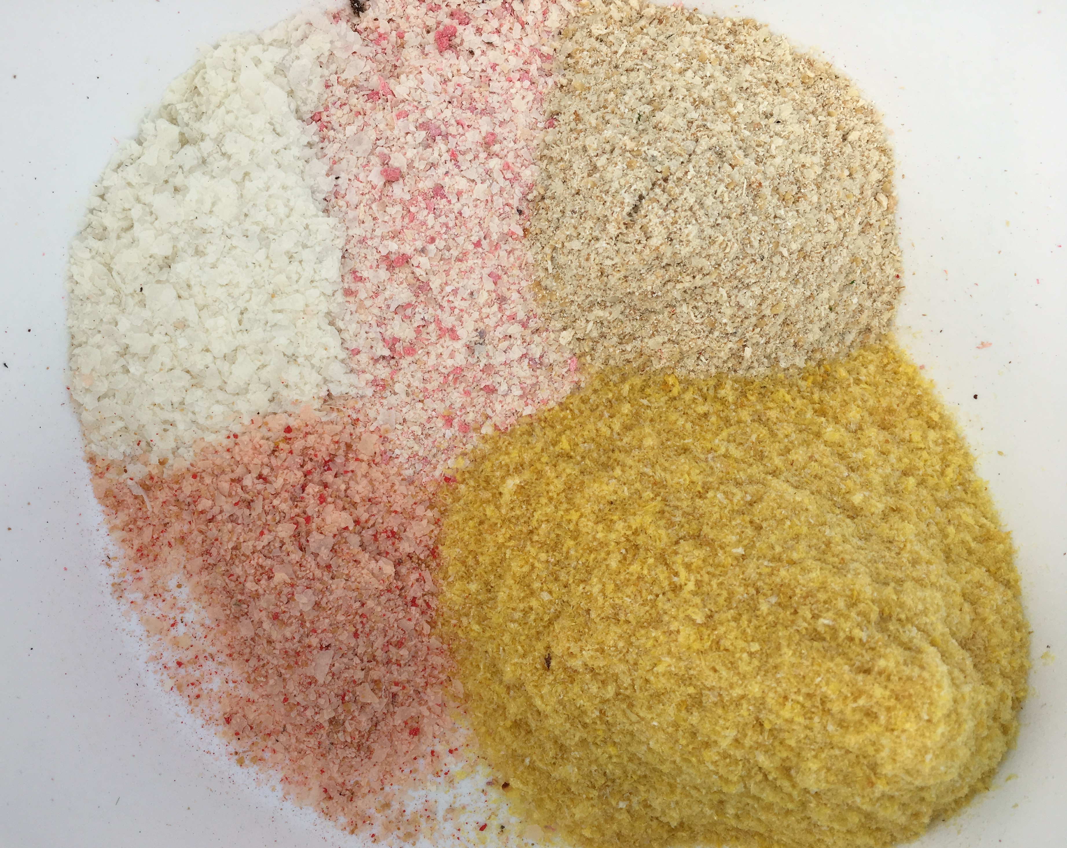 |预算有限？少花钱却想多钓鱼？这样买渔具才合理