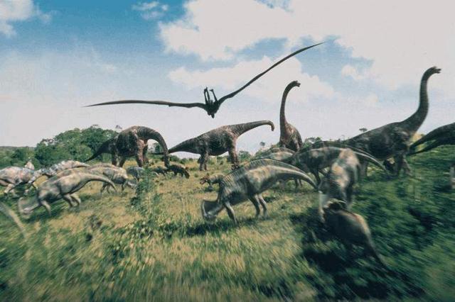 恐龙@人类是进化最成功的生物，但在这一方面，鸡才是王者