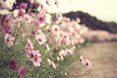 |八月回光返照,好运来临,下半年终将好运袭来