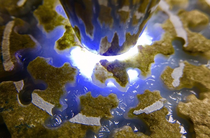 翡翠:行家因为一条裂不敢入手的翡翠赌料,小哥偏要拿下,切开后脸红了