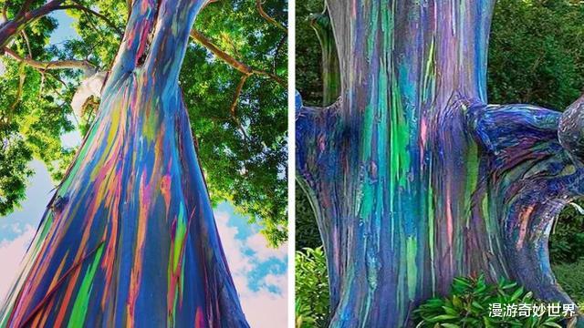 火山|28张难以置信的照片，大自然真是无所不能啊！