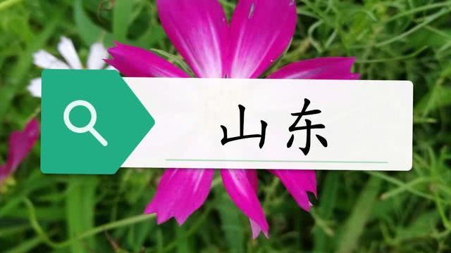 @全国钓鱼人最多的十大省份。你的家乡排第几？