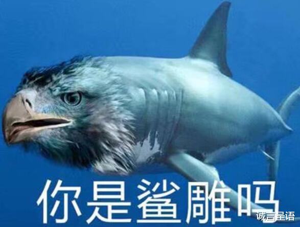 考试|要不，把体能不合格的高三学生，取消高考资格吧