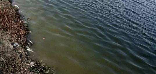 【神秘人】为何钓鱼的时候，总有“神秘人”搭讪？这些人另有目的！