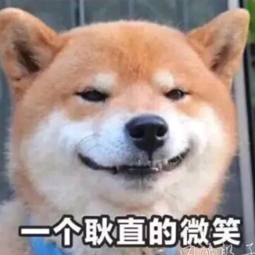 「蛋白质」减脂期每天需要多少蛋白质？你知道嘛